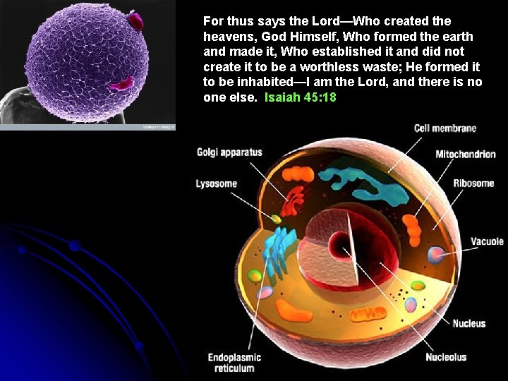 For thus says the Lord—Who created the heavens, God Himself, Who formed the earth