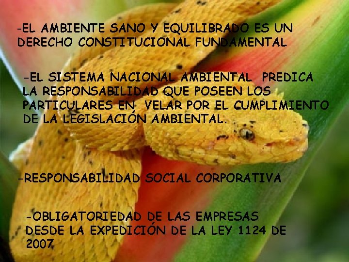 -EL AMBIENTE SANO Y EQUILIBRADO ES UN DERECHO CONSTITUCIONAL FUNDAMENTAL -EL SISTEMA NACIONAL AMBIENTAL