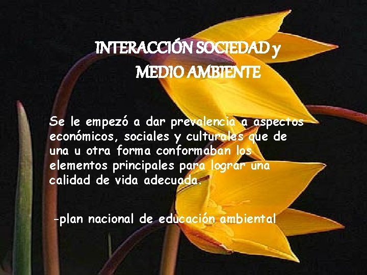 INTERACCIÓN SOCIEDAD y MEDIO AMBIENTE Se le empezó a dar prevalencia a aspectos económicos,