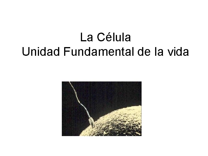 La Célula Unidad Fundamental de la vida 