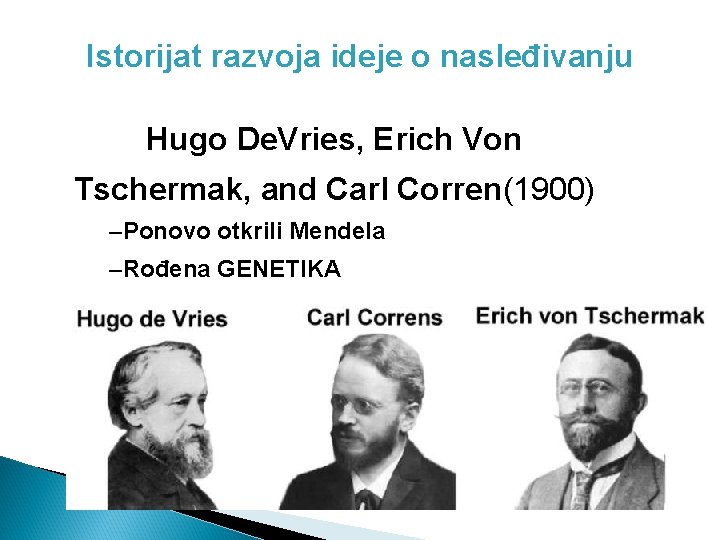 Istorijat razvoja ideje o nasleđivanju Hugo De. Vries, Erich Von Tschermak, and Carl Corren(1900)