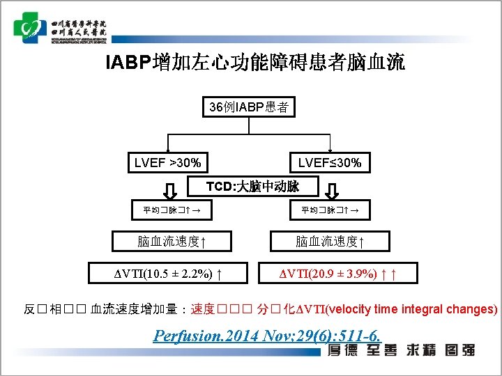 Iabp 30 Cc 40 Cc 50 Cc 162