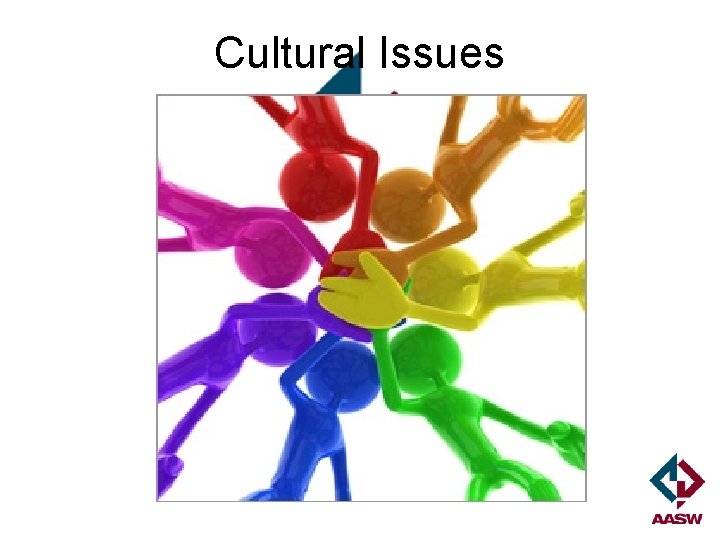 Cultural Issues 