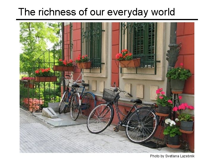The richness of our everyday world Photo by Svetlana Lazebnik 