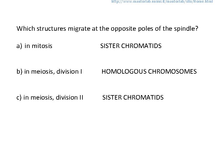 http: //www. mantorlab. unimi. it/mantorlab/sito/Home. html Which structures migrate at the opposite poles of