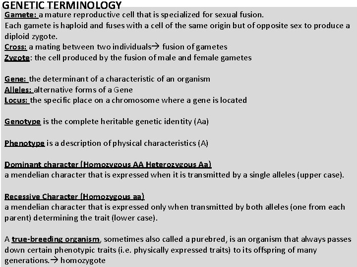 GENETIC TERMINOLOGY Gamete: a mature reproductive cell that is specialized for sexual fusion. Each