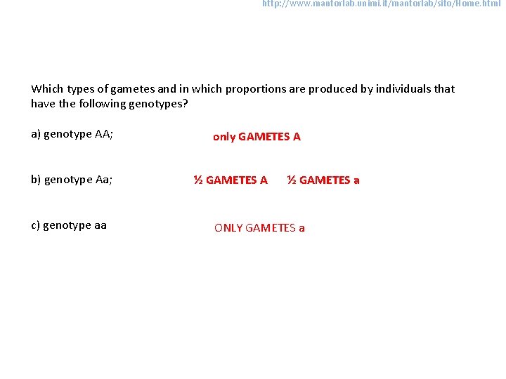 http: //www. mantorlab. unimi. it/mantorlab/sito/Home. html Which types of gametes and in which proportions