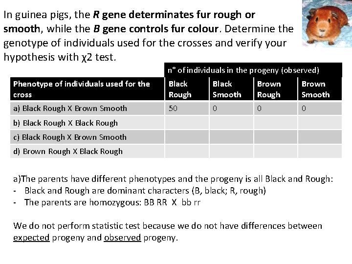 In guinea pigs, the R gene determinates fur rough or smooth, while the B