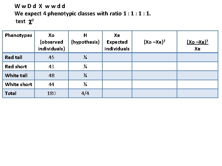 Ww. Dd X wwdd We expect 4 phenotypic classes with ratio 1 : 1