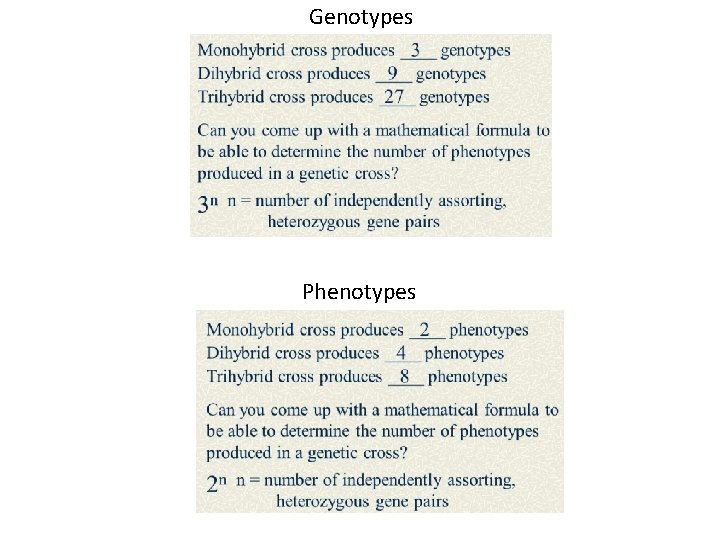 Genotypes Phenotypes 
