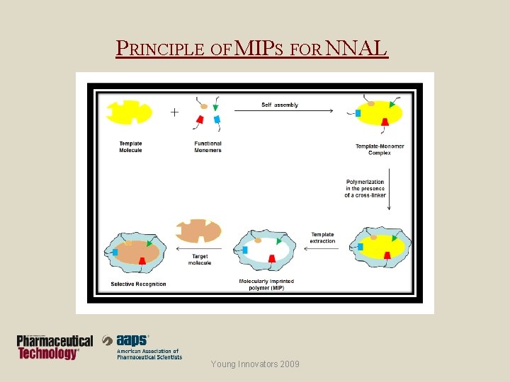 PRINCIPLE OF MIPS FOR NNAL Young Innovators 2009 