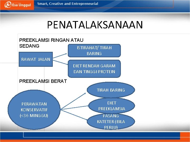 PENATALAKSANAAN PREEKLAMSI RINGAN ATAU SEDANG ISTIRAHAT/ TIRAH BARING RAWAT JALAN DIET RENDAH GARAM DAN PENATALAKSANAAN PREEKLAMSI RINGAN ATAU SEDANG ISTIRAHAT/ TIRAH BARING RAWAT JALAN DIET RENDAH GARAM DAN
