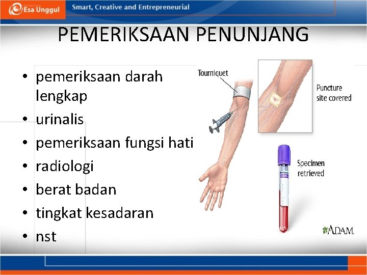 PEMERIKSAAN PENUNJANG • pemeriksaan darah lengkap • urinalis • pemeriksaan fungsi hati • radiologi PEMERIKSAAN PENUNJANG • pemeriksaan darah lengkap • urinalis • pemeriksaan fungsi hati • radiologi