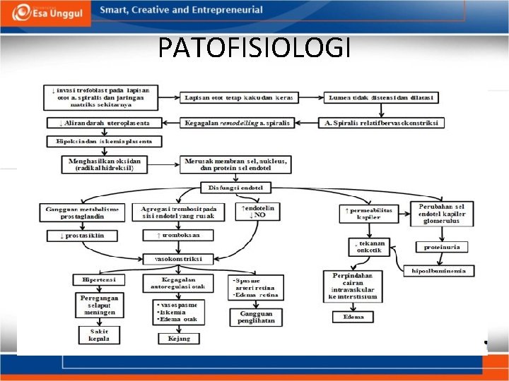 PATOFISIOLOGI PATOFISIOLOGI
