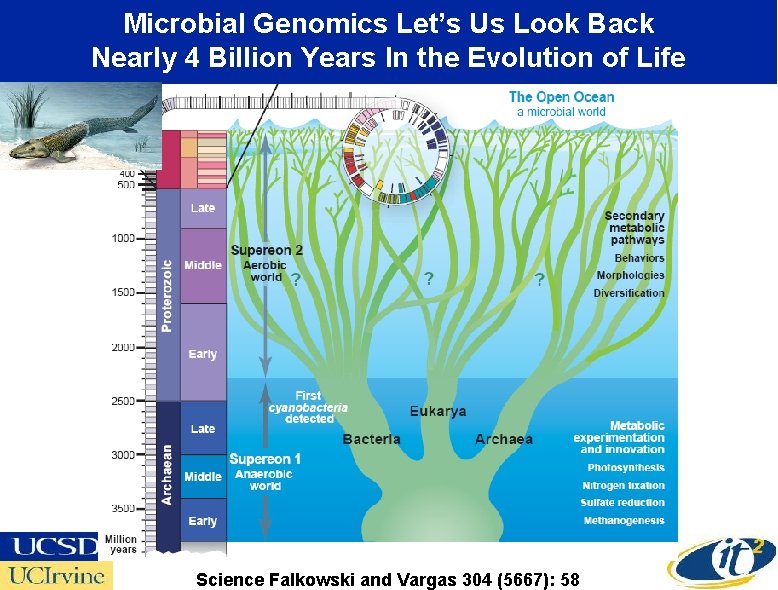 Microbial Genomics Let’s Us Look Back Nearly 4 Billion Years In the Evolution of