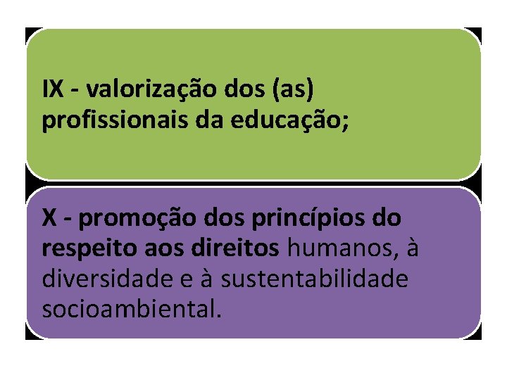 IX - valorização dos (as) profissionais da educação; X - promoção dos princípios do