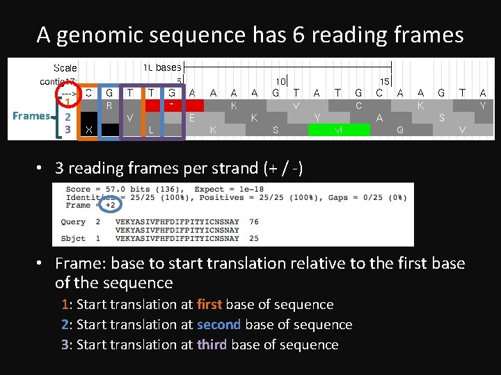 A genomic sequence has 6 reading frames Frames 1 2 3 • 3 reading