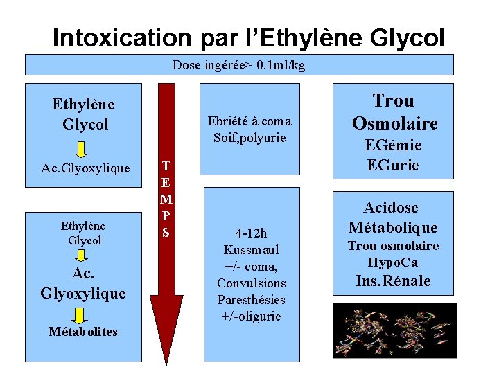 Intoxication par l’Ethylène Glycol Dose ingérée> 0. 1 ml/kg Ethylène Glycol Ac. Glyoxylique Métabolites