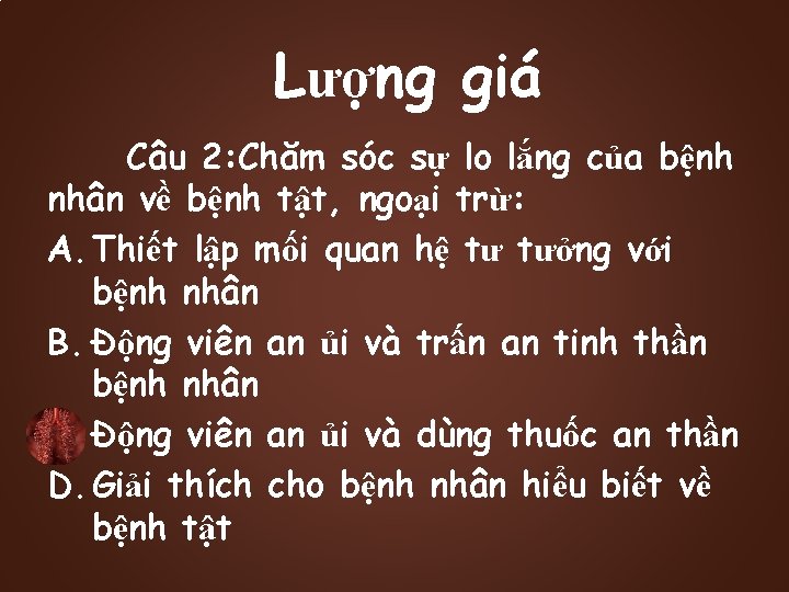 Lượng giá Câu 2: Chăm sóc sự lo lắng của bệnh nhân về bệnh