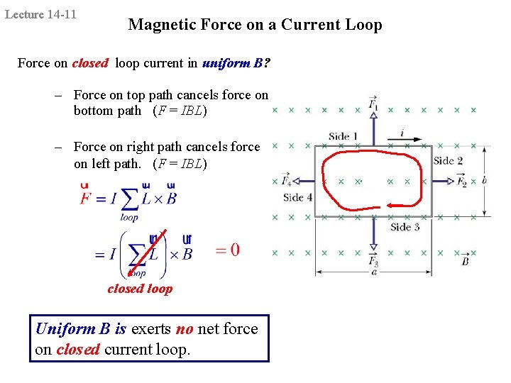 Lecture 14 -11 Magnetic Force on a Current Loop Force on closed loop current