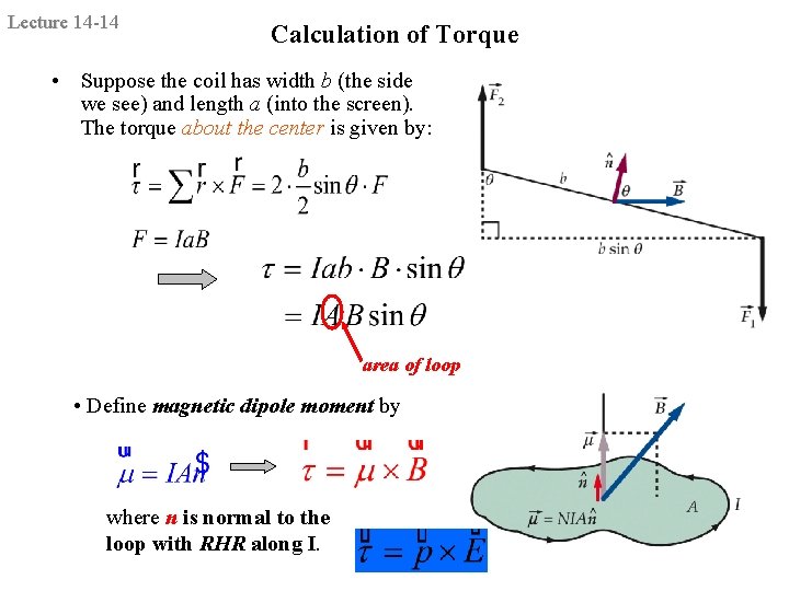 Lecture 14 -14 Calculation of Torque • Suppose the coil has width b (the