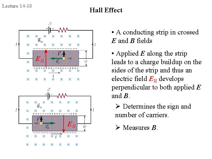 Lecture 14 -18 Hall Effect • A conducting strip in crossed E and B