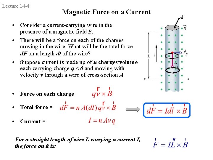Lecture 14 -4 Magnetic Force on a Current • Consider a current-carrying wire in