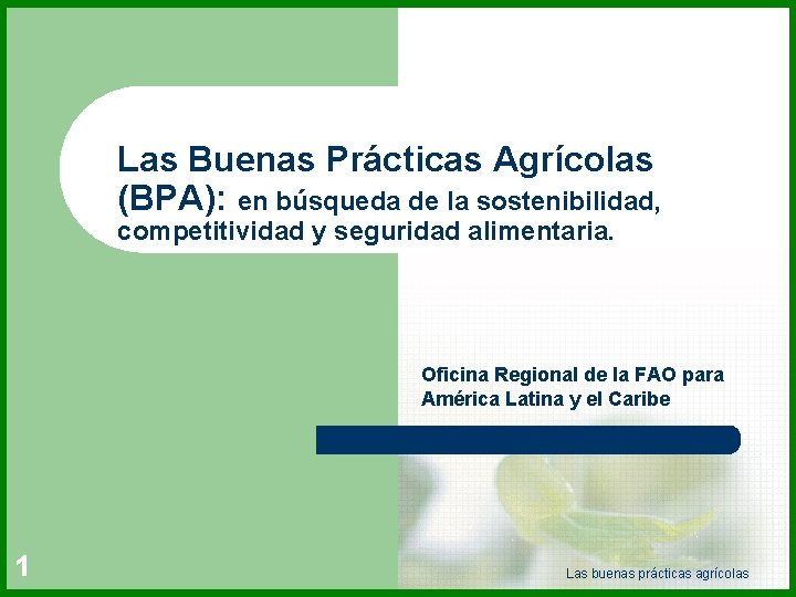 Las Buenas Prácticas Agrícolas (BPA): en búsqueda de la sostenibilidad, competitividad y seguridad alimentaria.