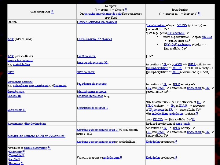 Stretch Receptor (↑ = opens. ↓ = closes) [3] On vascular smooth muscle cellsif