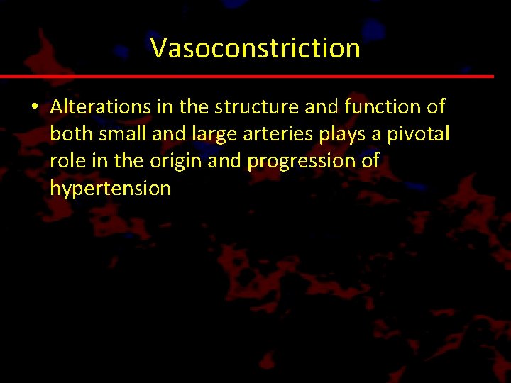 Vasoconstriction • Alterations in the structure and function of both small and large arteries