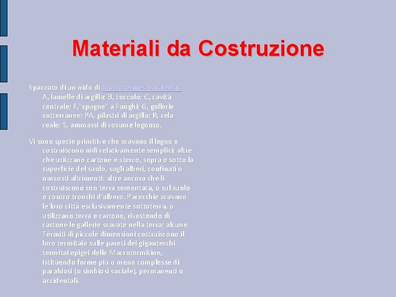 Materiali da Costruzione Spaccato di un nido di Macrotermes natalensis A, lamelle di argilla; Materiali da Costruzione Spaccato di un nido di Macrotermes natalensis A, lamelle di argilla;