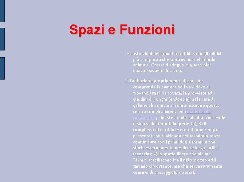 Spazi e Funzioni Le costruzioni dei grandi termitidi sono gli edifici più complicati che Spazi e Funzioni Le costruzioni dei grandi termitidi sono gli edifici più complicati che