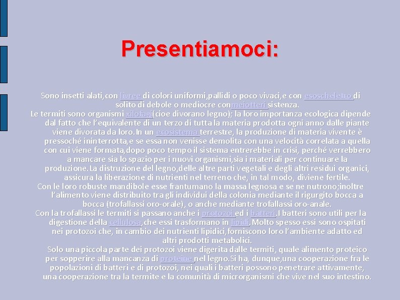 Presentiamoci: Sono insetti alati, con livree di colori uniformi, pallidi o poco vivaci, e Presentiamoci: Sono insetti alati, con livree di colori uniformi, pallidi o poco vivaci, e