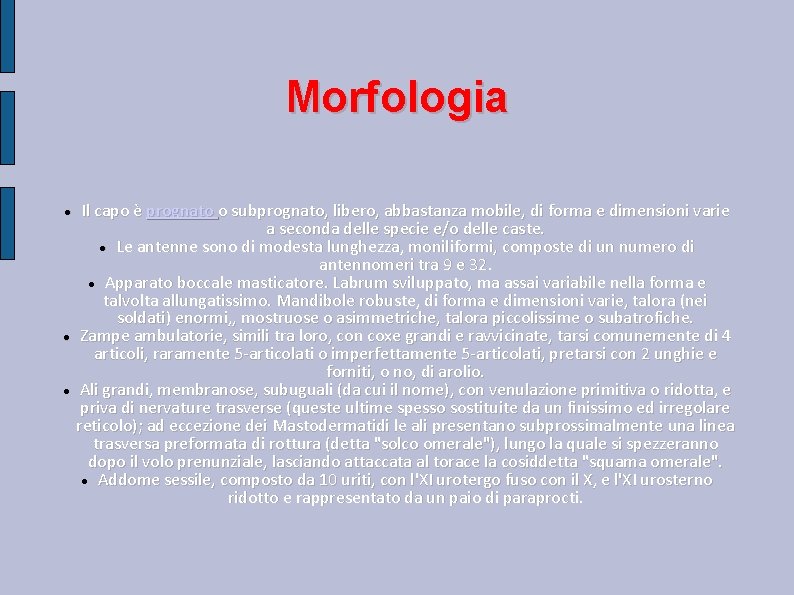 Morfologia Il capo è prognato o subprognato, libero, abbastanza mobile, di forma e dimensioni Morfologia Il capo è prognato o subprognato, libero, abbastanza mobile, di forma e dimensioni