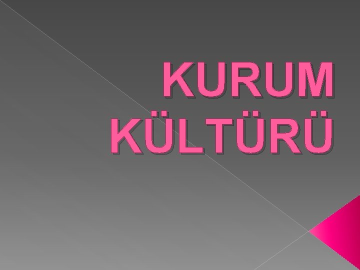 KURUM KÜLTÜRÜ 