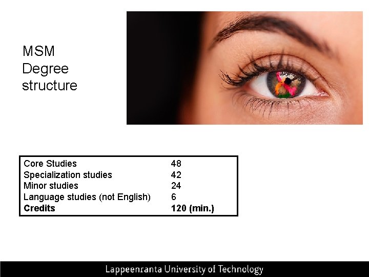 MSM Degree structure Core Studies Specialization studies Minor studies Language studies (not English) Credits