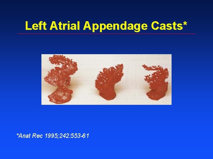 Left Atrial Appendage Casts* *Anat Rec 1995; 242: 553 -61 