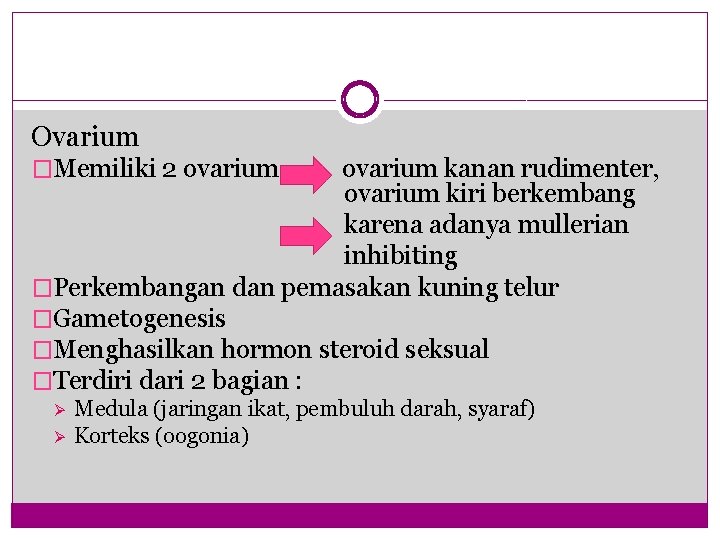 Ovarium �Memiliki 2 ovarium kanan rudimenter, ovarium kiri berkembang karena adanya mullerian inhibiting �Perkembangan