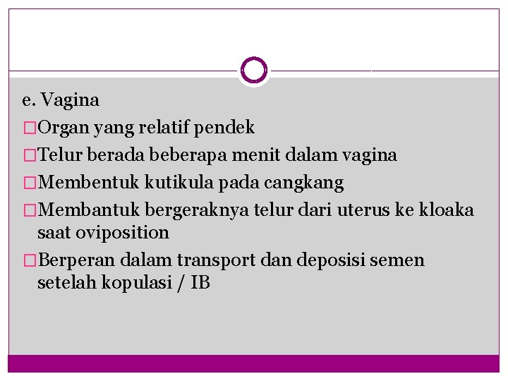 e. Vagina �Organ yang relatif pendek �Telur berada beberapa menit dalam vagina �Membentuk kutikula e. Vagina �Organ yang relatif pendek �Telur berada beberapa menit dalam vagina �Membentuk kutikula