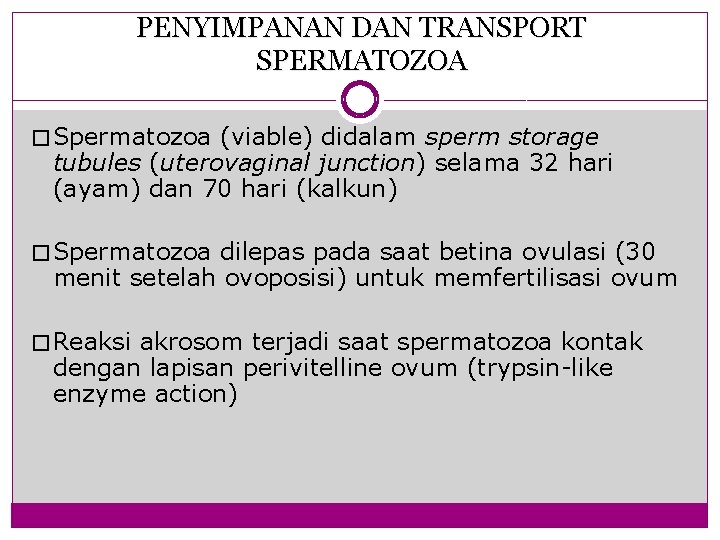 PENYIMPANAN DAN TRANSPORT SPERMATOZOA � Spermatozoa (viable) didalam sperm storage tubules (uterovaginal junction) selama