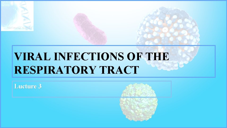 VIRAL INFECTIONS OF THE RESPIRATORY TRACT Lucture 3 