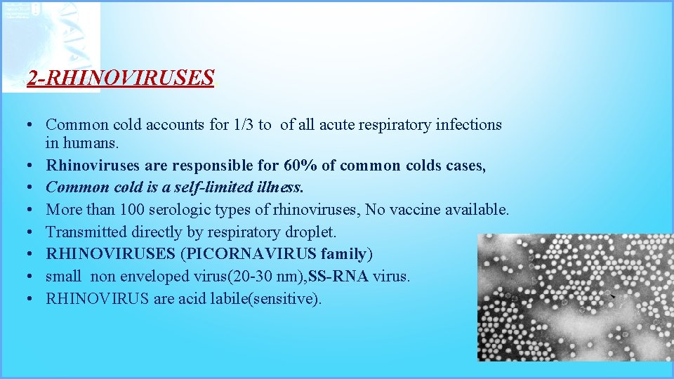 2 -RHINOVIRUSES. • Common cold accounts for 1/3 to of all acute respiratory infections