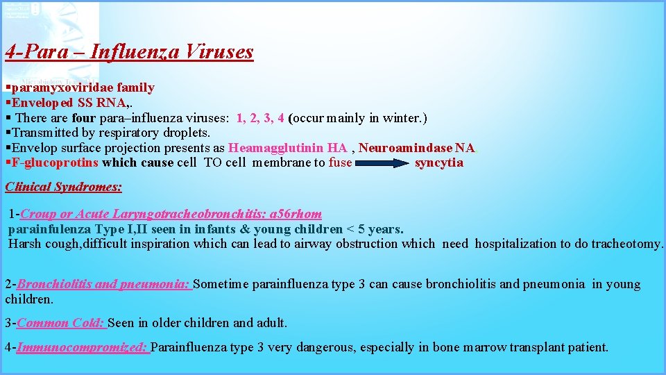 4 -Para – Influenza Viruses §paramyxoviridae family §Enveloped SS RNA, . § There are