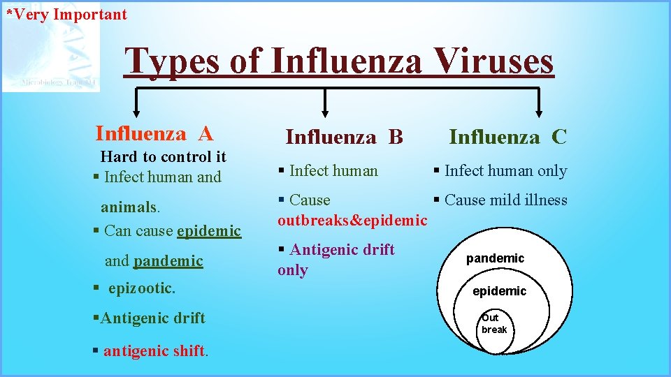 *Very Important Types of Influenza Viruses Influenza A Hard to control it § Infect