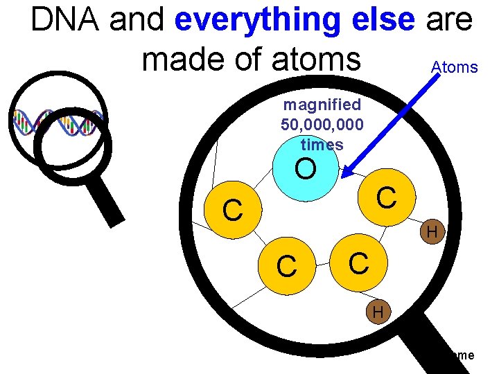 DNA and everything else are made of atoms Atoms magnified 50, 000 times O