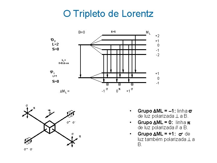 O Tripleto de Lorentz B>0 B=0 ML 1 D 2 L=2 S=0 +2 +1 O Tripleto de Lorentz B>0 B=0 ML 1 D 2 L=2 S=0 +2 +1