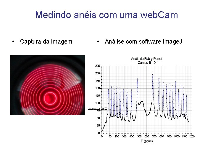 Medindo anéis com uma web. Cam • Captura da Imagem • Análise com software Medindo anéis com uma web. Cam • Captura da Imagem • Análise com software