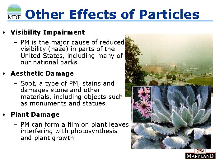 Other Effects of Particles • Visibility Impairment – PM is the major cause of