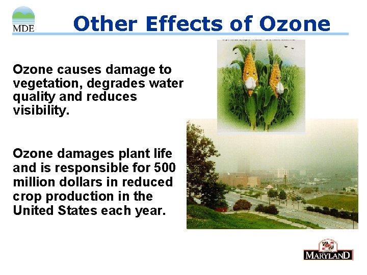 Other Effects of Ozone causes damage to vegetation, degrades water quality and reduces visibility.