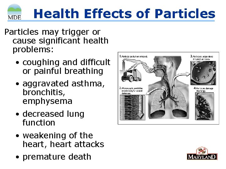 Health Effects of Particles may trigger or cause significant health problems: • coughing and